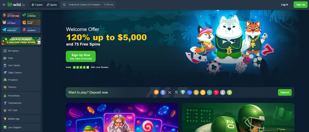 wild.io - crypto casinos